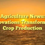 Agriculture News: Innovations Transforming Crop Production