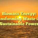 Biomass Energy: Transforming Waste into Sustainable Power
