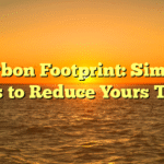 Carbon Footprint: Simple Ways to Reduce Yours Today