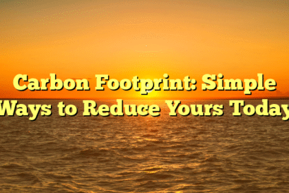 Carbon Footprint: Simple Ways to Reduce Yours Today
