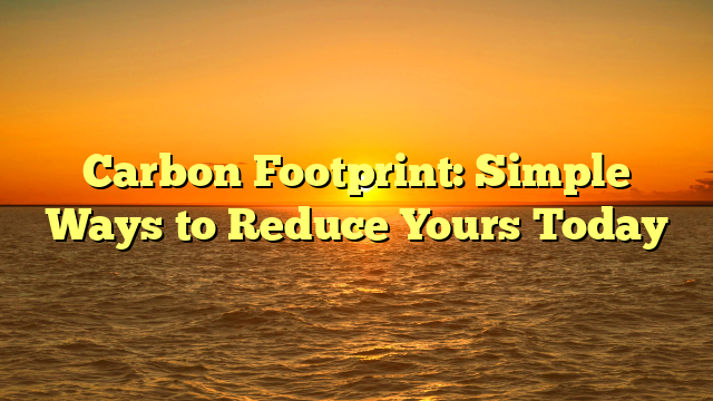 Carbon Footprint: Simple Ways to Reduce Yours Today