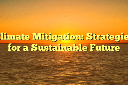 Climate Mitigation: Strategies for a Sustainable Future