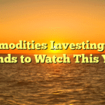 Commodities Investing: Top Trends to Watch This Year