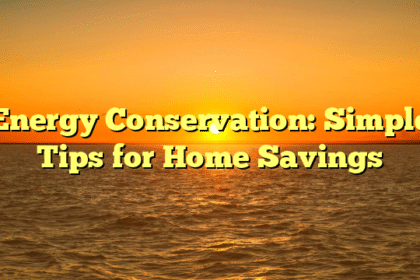 Energy Conservation: Simple Tips for Home Savings