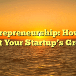 Entrepreneurship: How to Boost Your Startup’s Growth