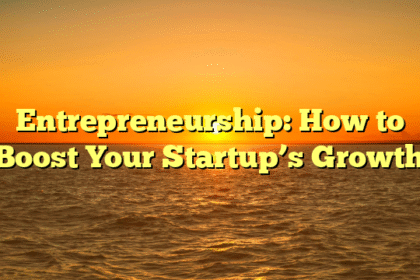 Entrepreneurship: How to Boost Your Startup’s Growth