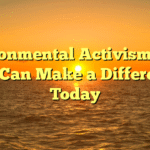 Environmental Activism: How You Can Make a Difference Today
