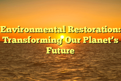 Environmental Restoration: Transforming Our Planet’s Future