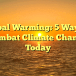 Global Warming: 5 Ways to Combat Climate Change Today