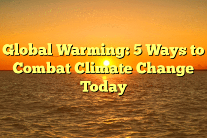 Global Warming: 5 Ways to Combat Climate Change Today