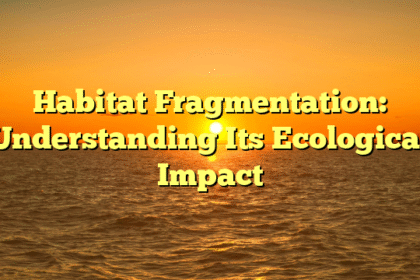Habitat Fragmentation: Understanding Its Ecological Impact