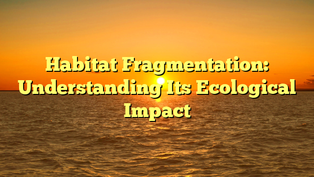 Habitat Fragmentation: Understanding Its Ecological Impact