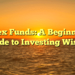 Index Funds: A Beginner’s Guide to Investing Wisely