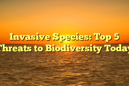 Invasive Species: Top 5 Threats to Biodiversity Today