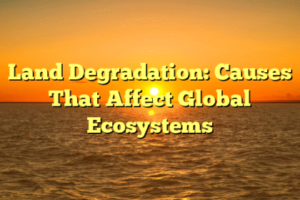 Land Degradation: Causes That Affect Global Ecosystems