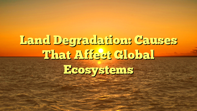 Land Degradation: Causes That Affect Global Ecosystems