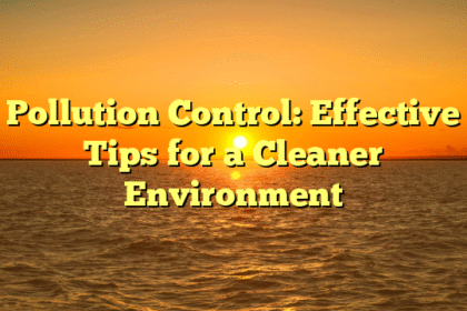 Pollution Control: Effective Tips for a Cleaner Environment