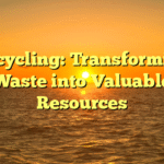 Recycling: Transforming Waste into Valuable Resources
