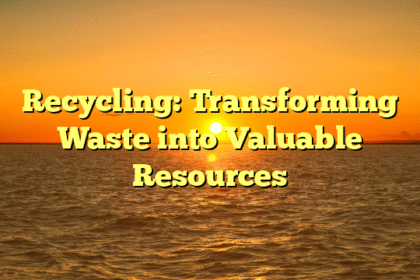 Recycling: Transforming Waste into Valuable Resources