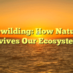 Rewilding: How Nature Revives Our Ecosystems