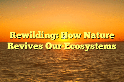 Rewilding: How Nature Revives Our Ecosystems