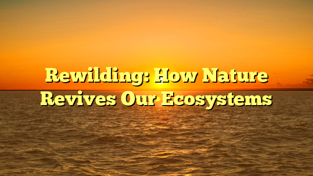 Rewilding: How Nature Revives Our Ecosystems