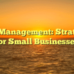 Risk Management: Strategies for Small Businesses