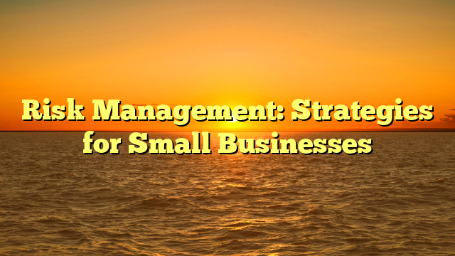 Risk Management: Strategies for Small Businesses