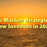 Stock Market: Strategies for New Investors in 2023