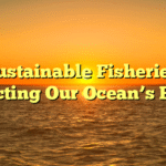 Sustainable Fisheries: Protecting Our Ocean’s Future