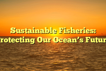 Sustainable Fisheries: Protecting Our Ocean’s Future