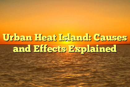 Urban Heat Island: Causes and Effects Explained