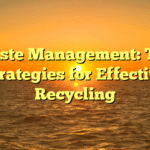 Waste Management: Top Strategies for Effective Recycling