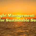 Weight Management: Top Tips for Sustainable Success