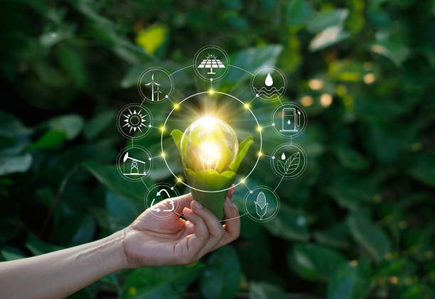Rise of Renewable Vitality