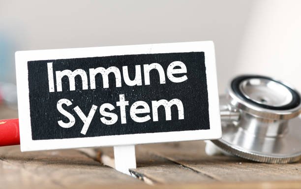 The Significance of Immune Well being