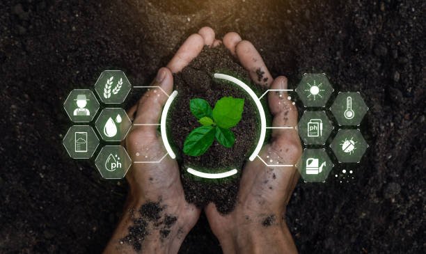 The Rise of Precision Agriculture