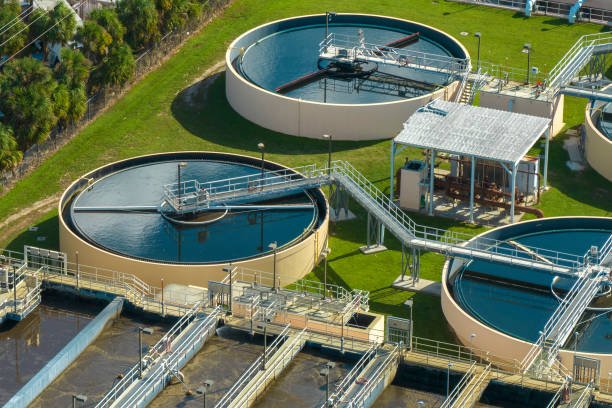 Sorts of Biomass Power