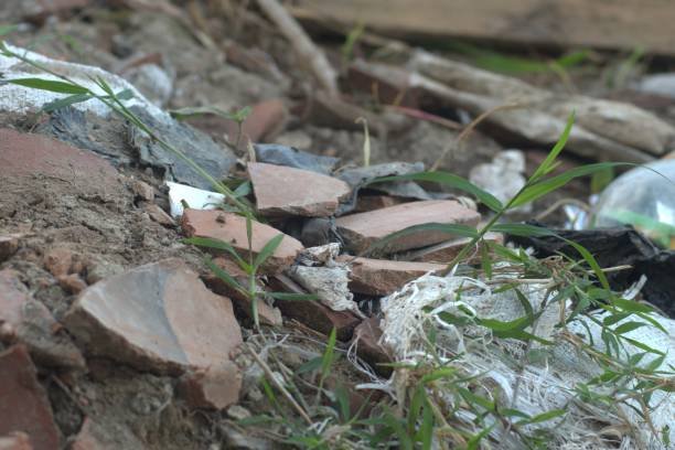 What's Habitat Fragmentation