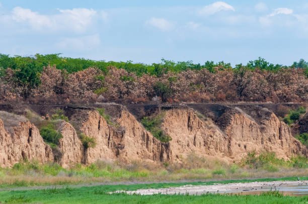What's Land Degradation