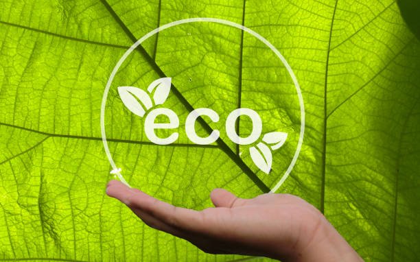 What's Eco-Certification