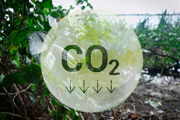 Understanding the Climate Crisis