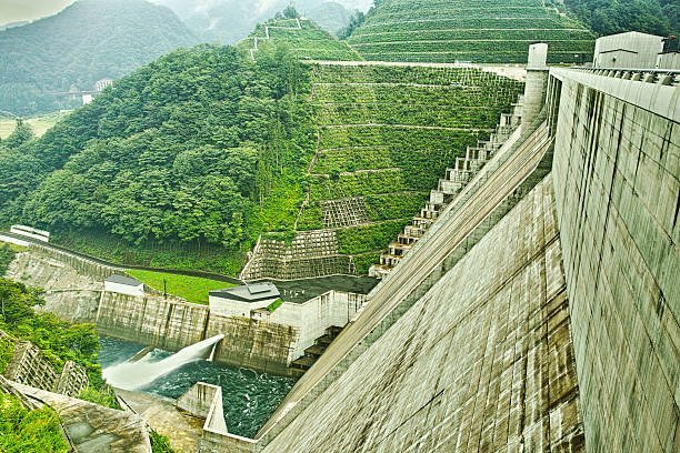 Kinds of Hydropower Crops