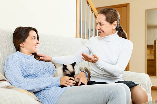 Interact Domestically